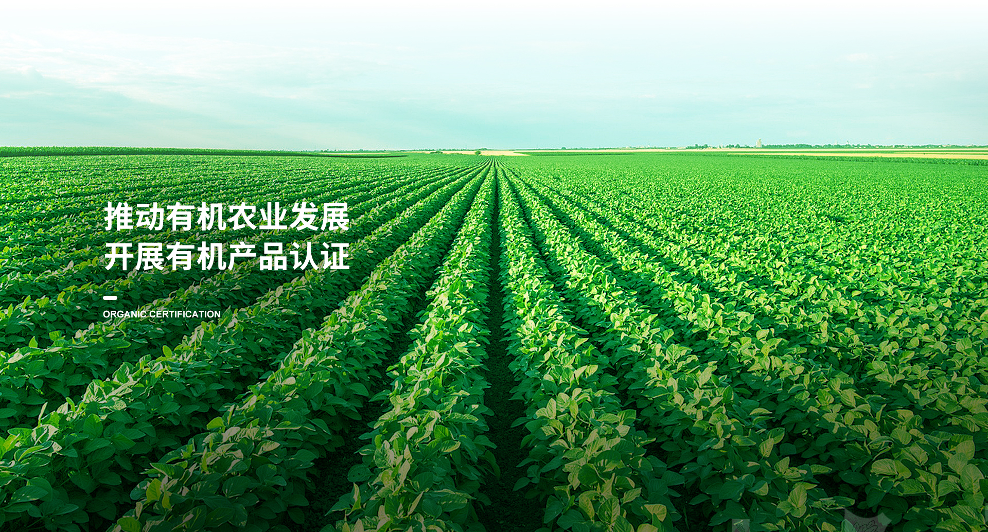 手機(jī)