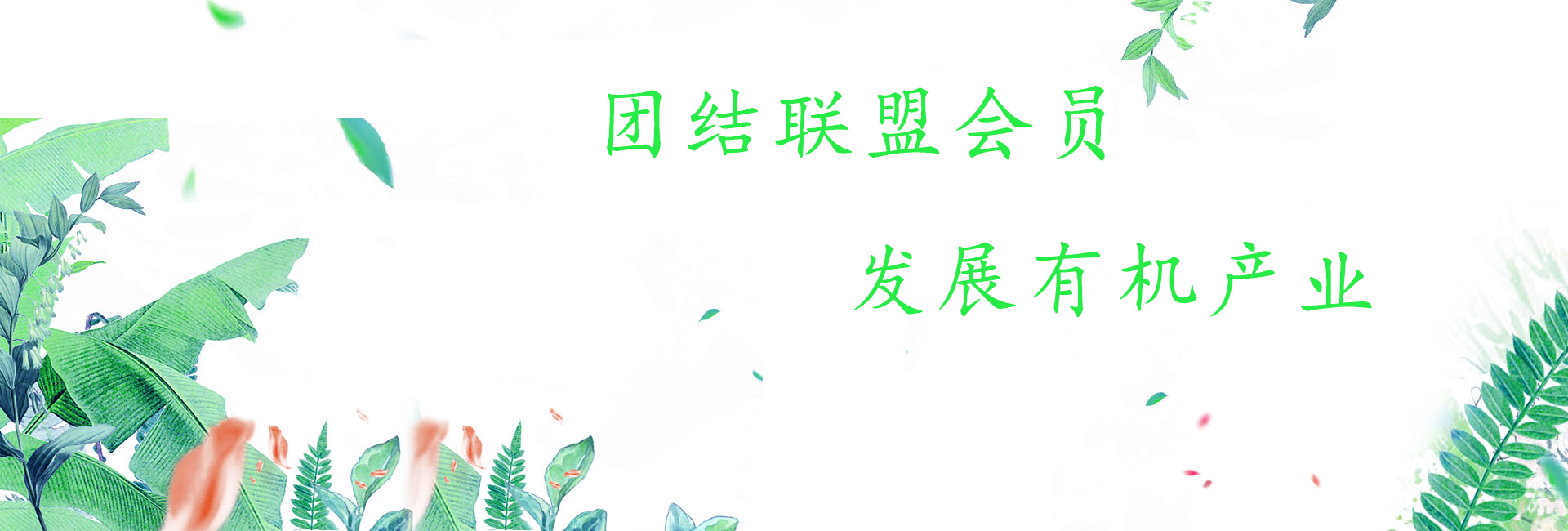 團(tuán)結(jié)聯(lián)盟會(huì)員，發(fā)展有機(jī)產(chǎn)業(yè)